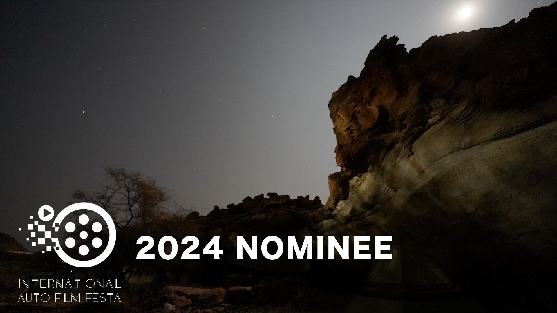 FLY ME TO THE DUNE [ 2024 / NOMINEE ]